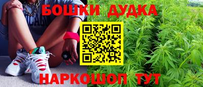 дмт Аргун