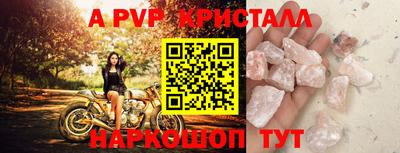дмт Аргун