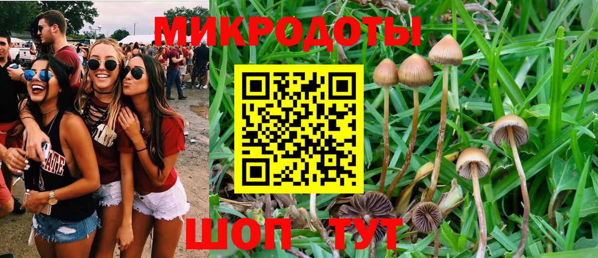 Псилоцибиновые грибы ЛСД Белебей